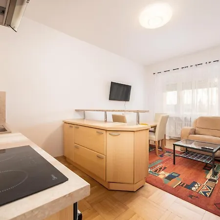 Apartament Castle *